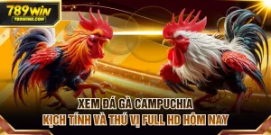 Đá gà Campuchia
